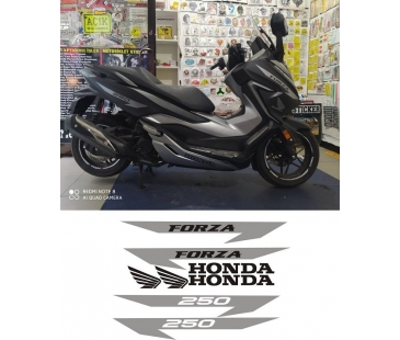 Honda Forza sticker-1233